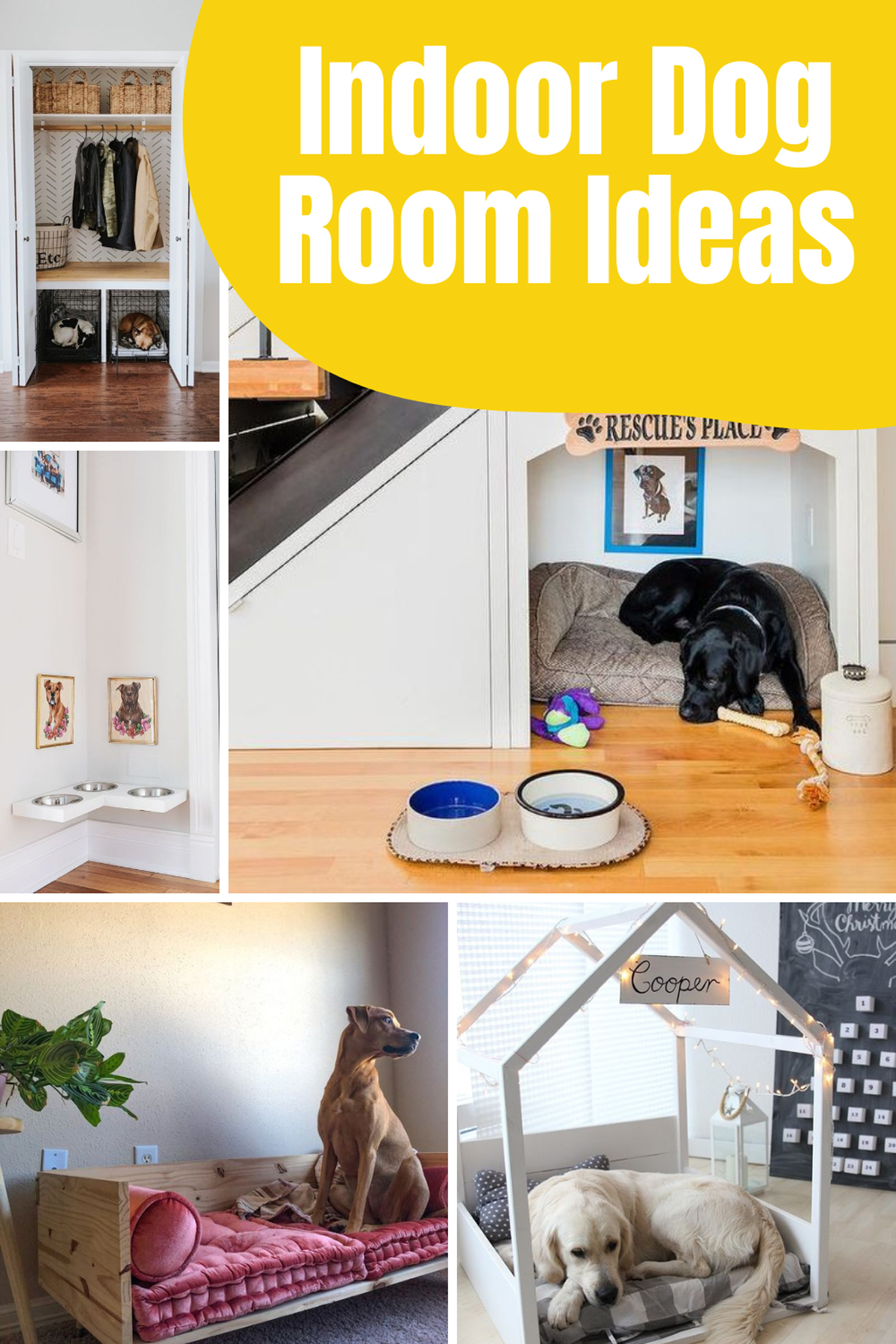 Indoor Dog Room Ideas