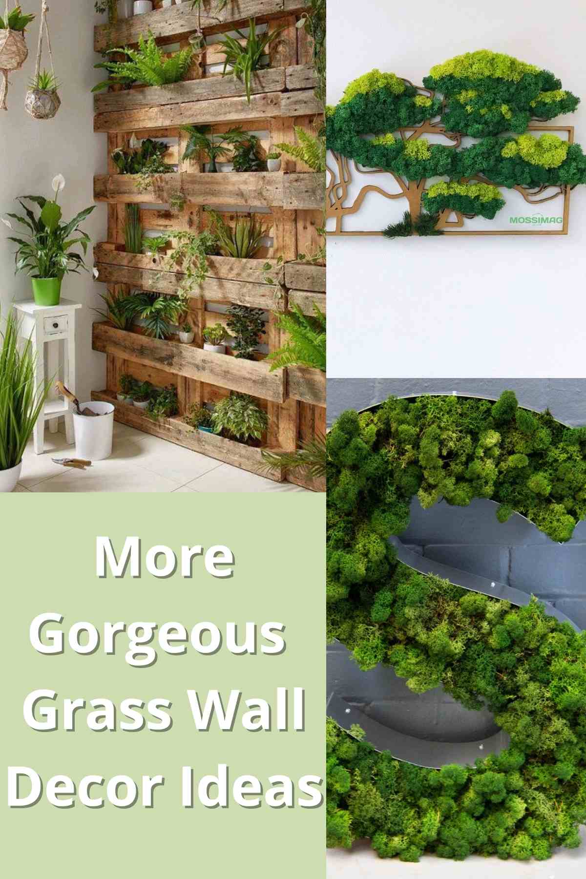 grass walls indoor photos