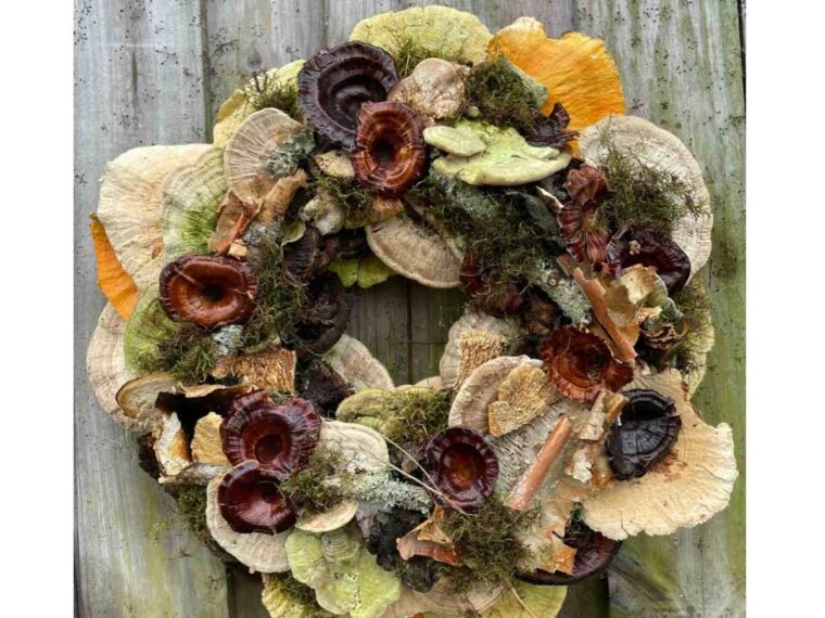 Mushroom Wreath