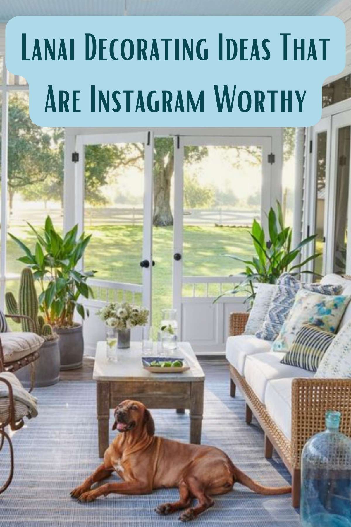 Lanai Decorating ideas that are instagram worth. photo of lanai with dog on it.