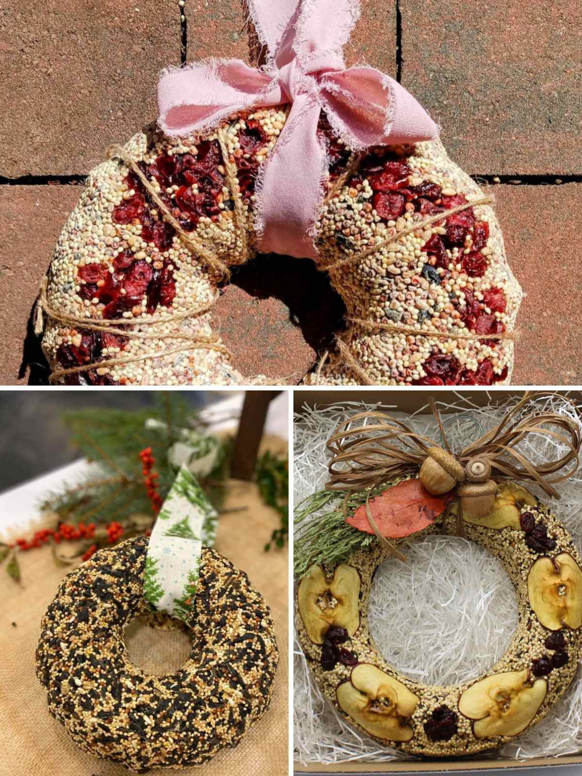 bird seed circle wreaths with different toppings.