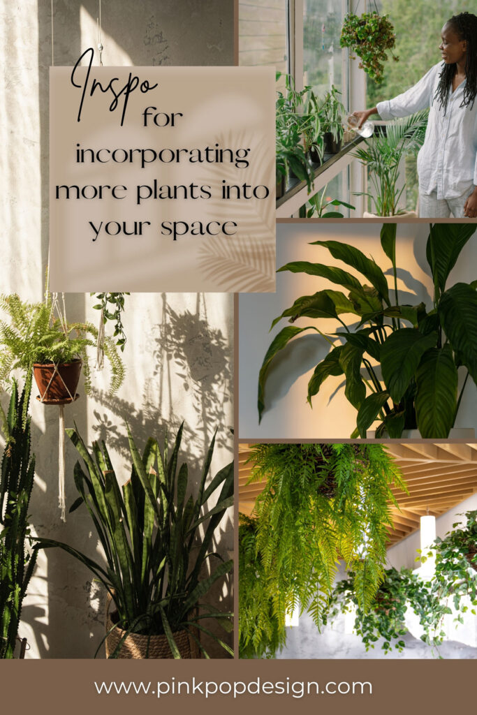 27 Favorite Plant Room Ideas To Grow Yourself – Pink Pop Design
