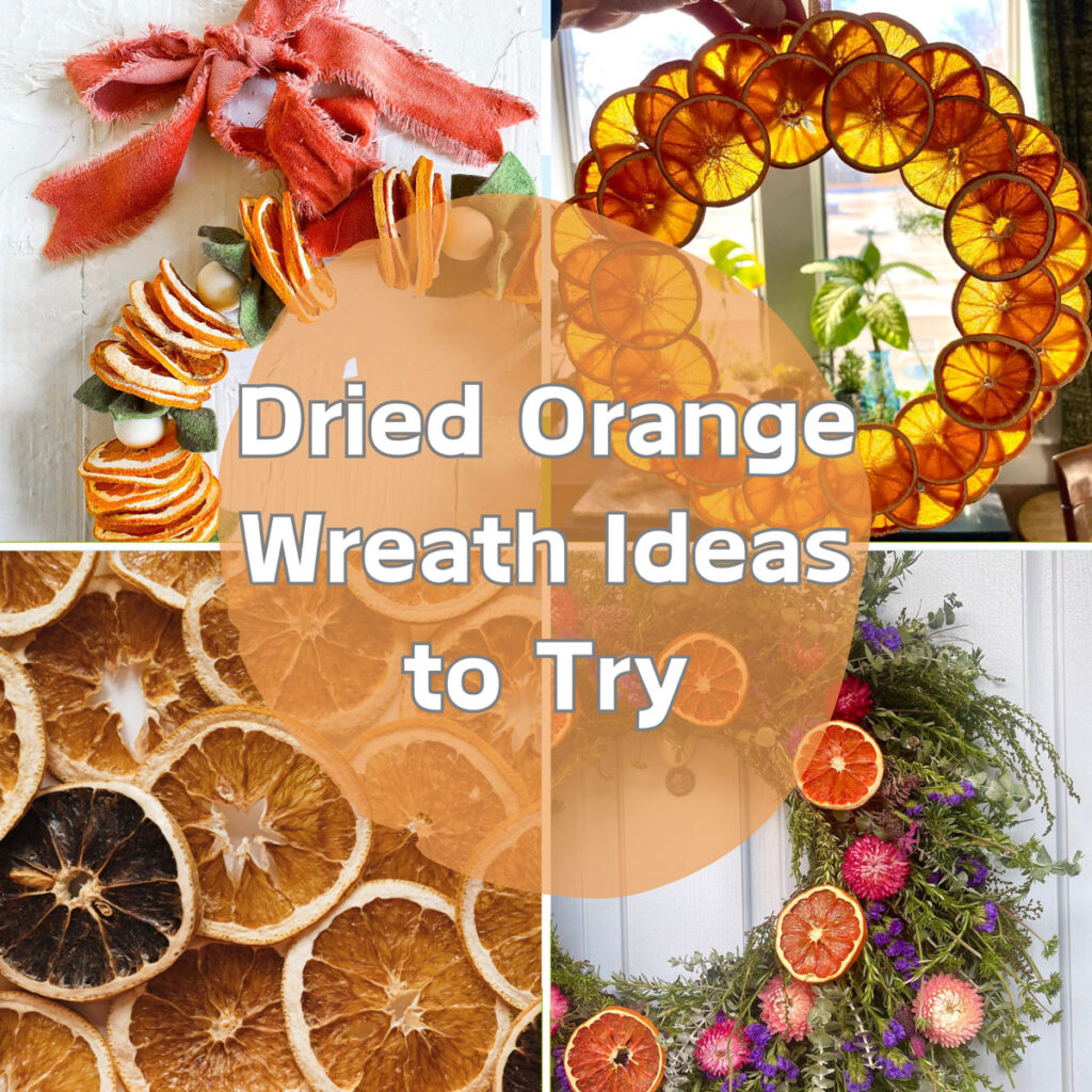 Dried Orange Wreath Ideas To Dehydrate & Try – Pink Pop Design